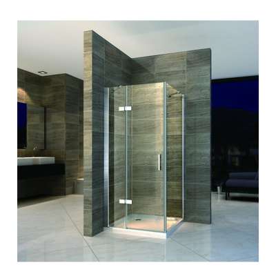 Customized OEM Straight Transparent Corner Toilet Sex Shower Bath Room